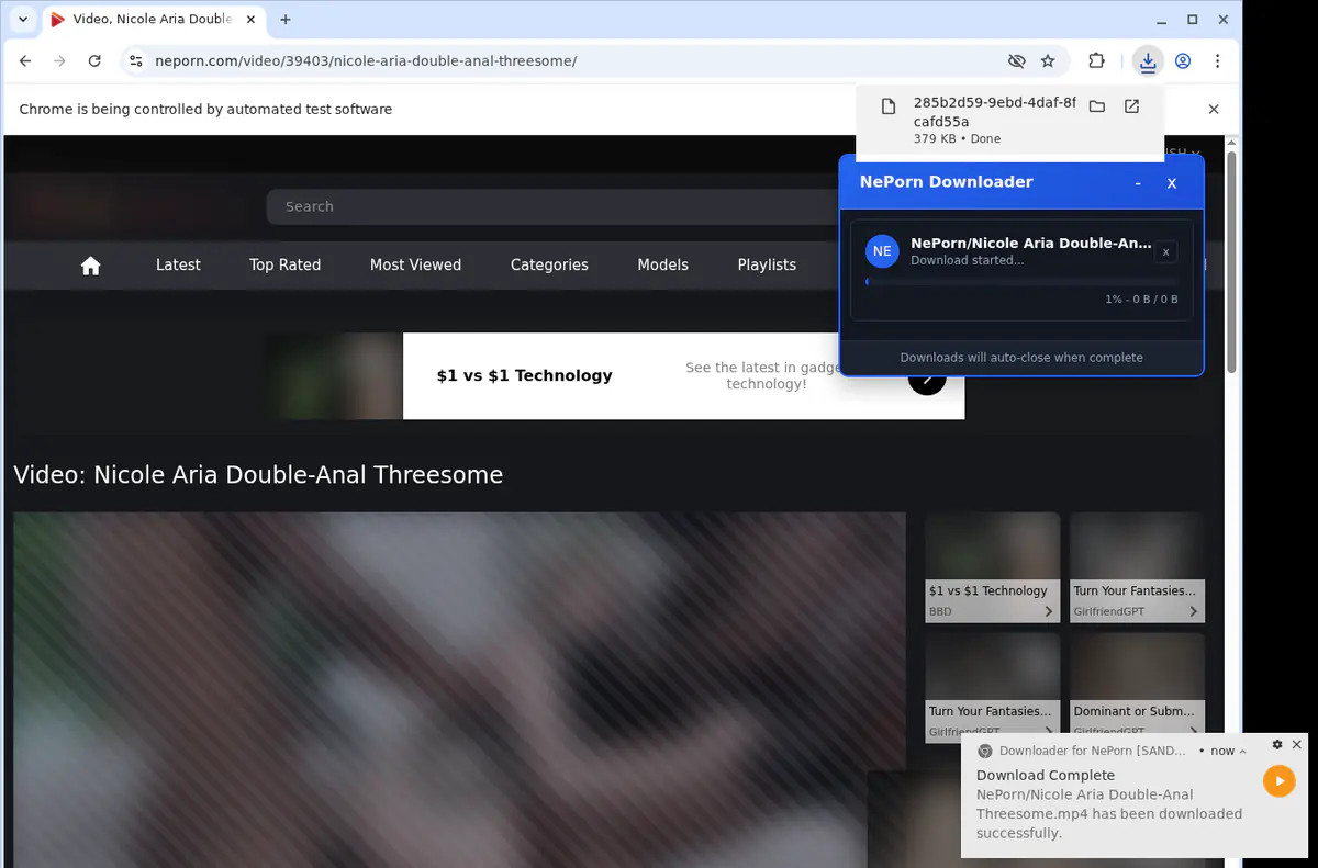 Neporn Video Downloader browser extension screenshot 2