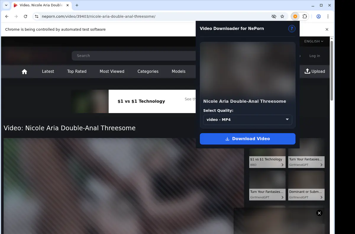 Neporn Video Downloader browser extension screenshot 3